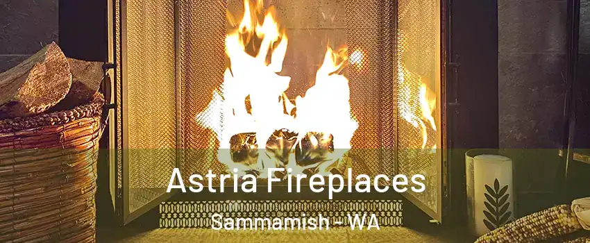  Astria Fireplaces Sammamish - WA