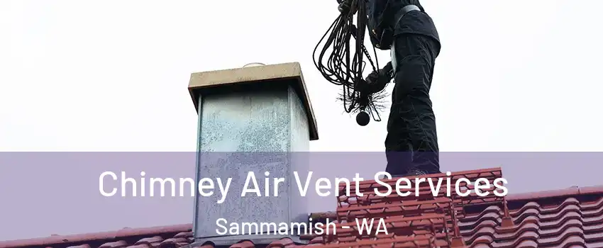  Chimney Air Vent Services Sammamish - WA