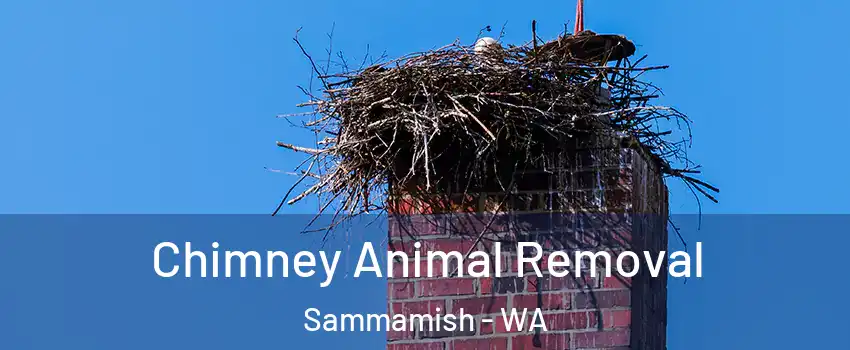 Chimney Animal Removal Sammamish - WA