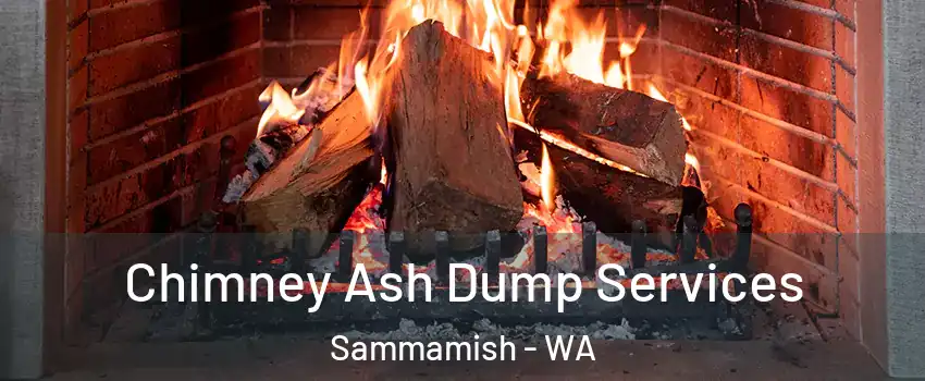  Chimney Ash Dump Services Sammamish - WA