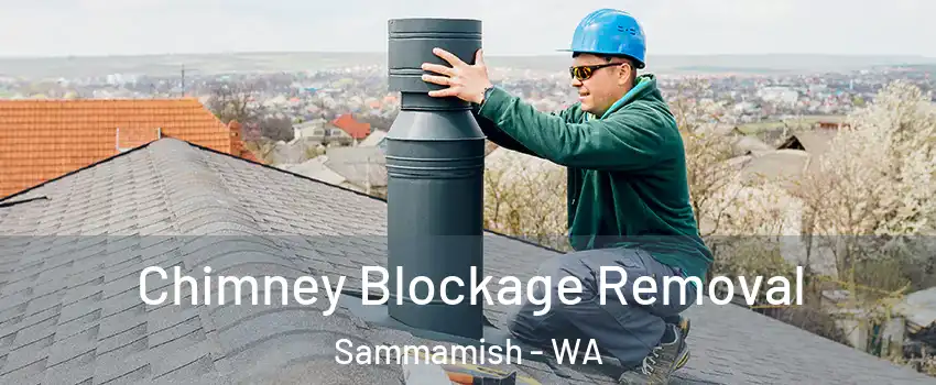  Chimney Blockage Removal Sammamish - WA