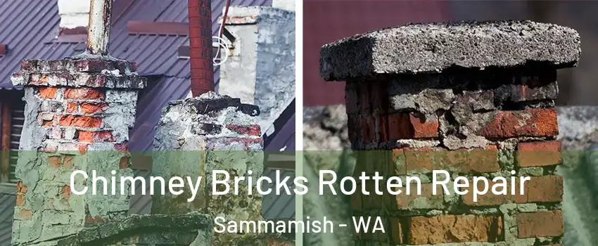  Chimney Bricks Rotten Repair Sammamish - WA