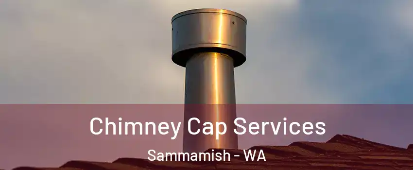  Chimney Cap Services Sammamish - WA