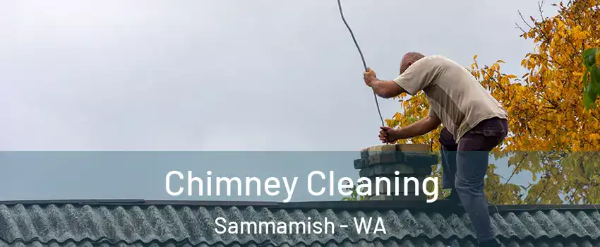  Chimney Cleaning Sammamish - WA