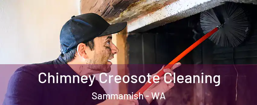 Chimney Creosote Cleaning Sammamish - WA