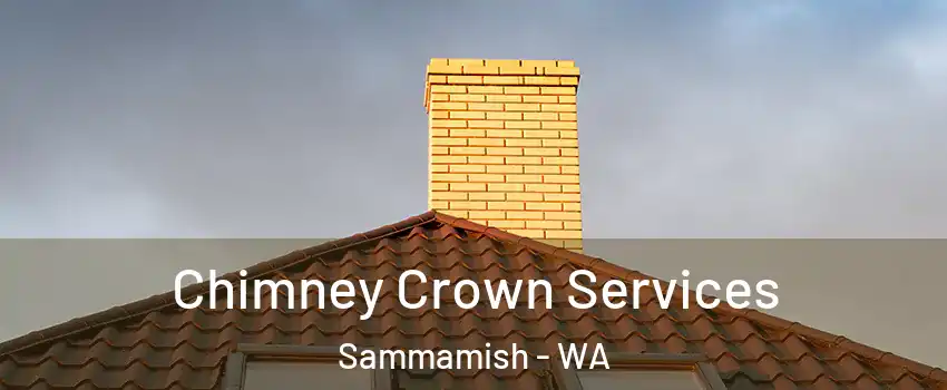Chimney Crown Services Sammamish - WA
