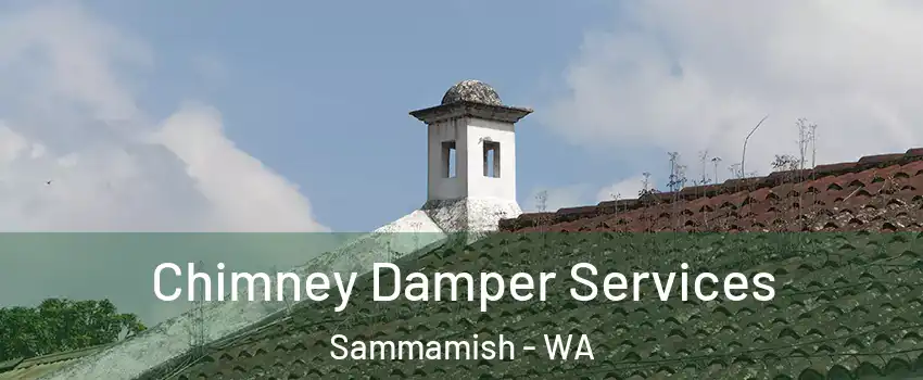  Chimney Damper Services Sammamish - WA