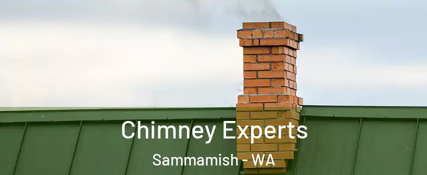 Chimney Experts Sammamish - WA