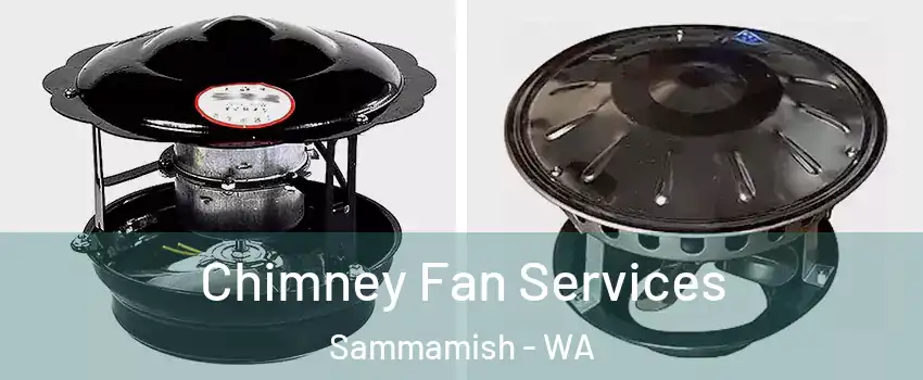  Chimney Fan Services Sammamish - WA