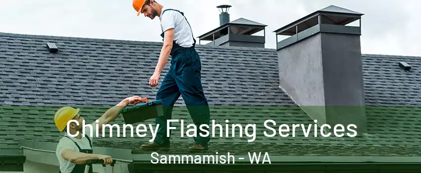 Chimney Flashing Services Sammamish - WA
