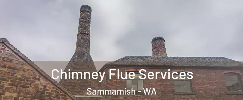  Chimney Flue Services Sammamish - WA
