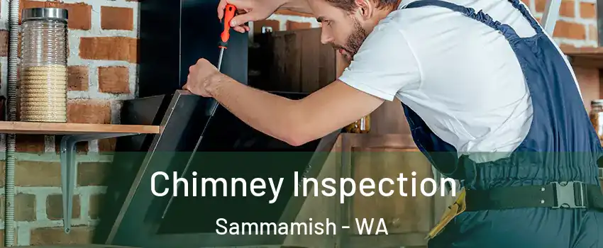  Chimney Inspection Sammamish - WA