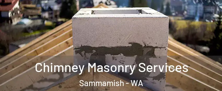  Chimney Masonry Services Sammamish - WA