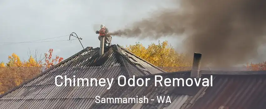  Chimney Odor Removal Sammamish - WA
