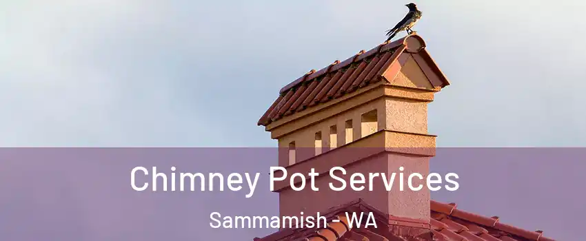 Chimney Pot Services Sammamish - WA