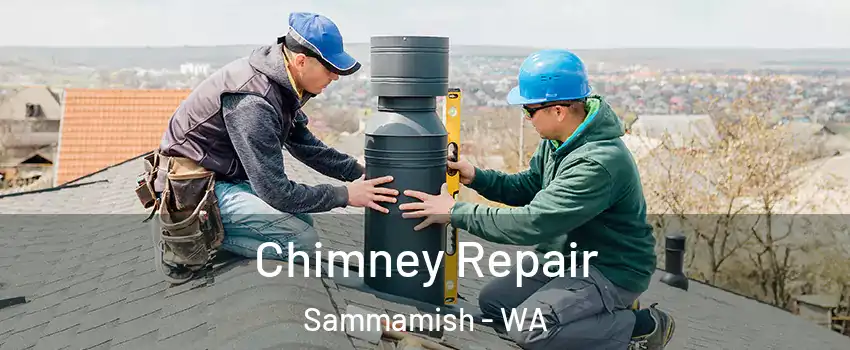  Chimney Repair Sammamish - WA