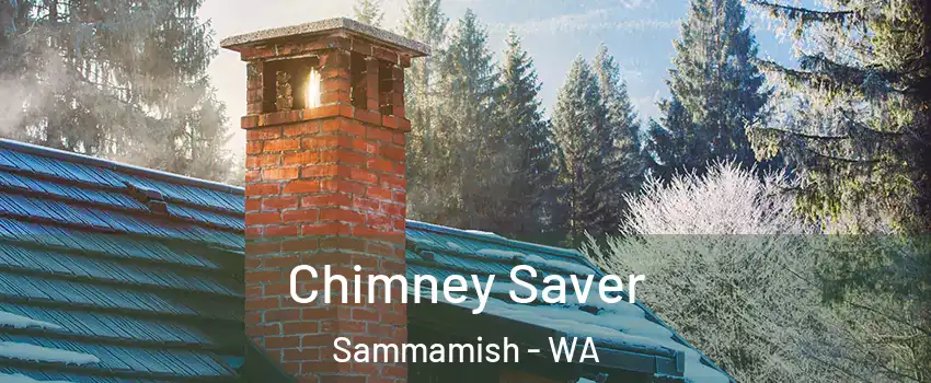  Chimney Saver Sammamish - WA