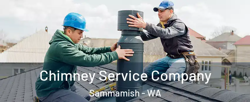  Chimney Service Company Sammamish - WA