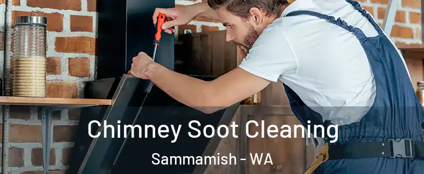  Chimney Soot Cleaning Sammamish - WA