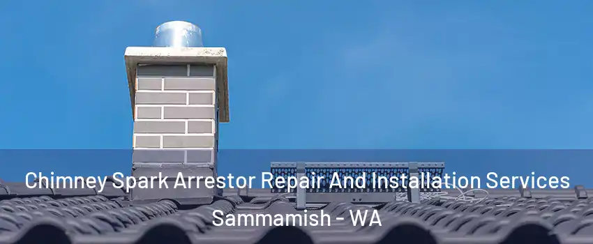  Chimney Spark Arrestor Repair And Installation Services Sammamish - WA