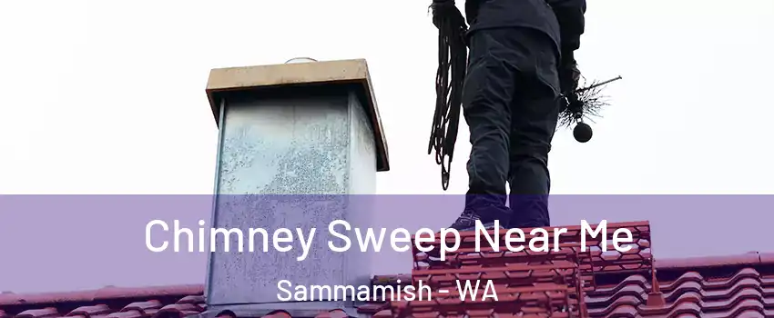  Chimney Sweep Near Me Sammamish - WA