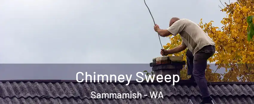  Chimney Sweep Sammamish - WA