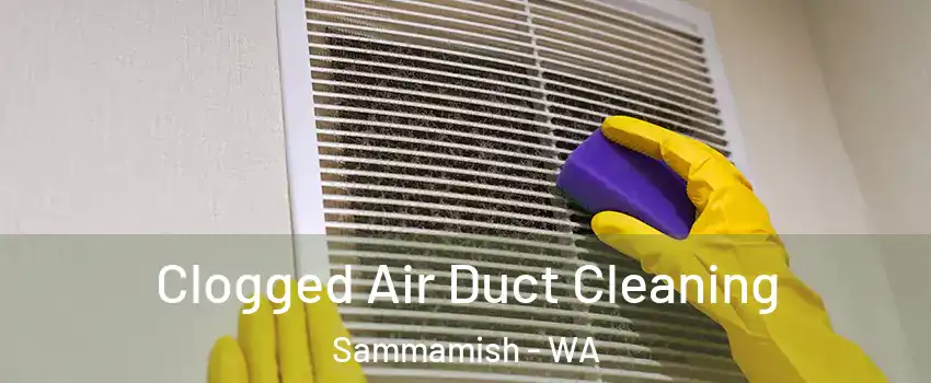  Clogged Air Duct Cleaning Sammamish - WA