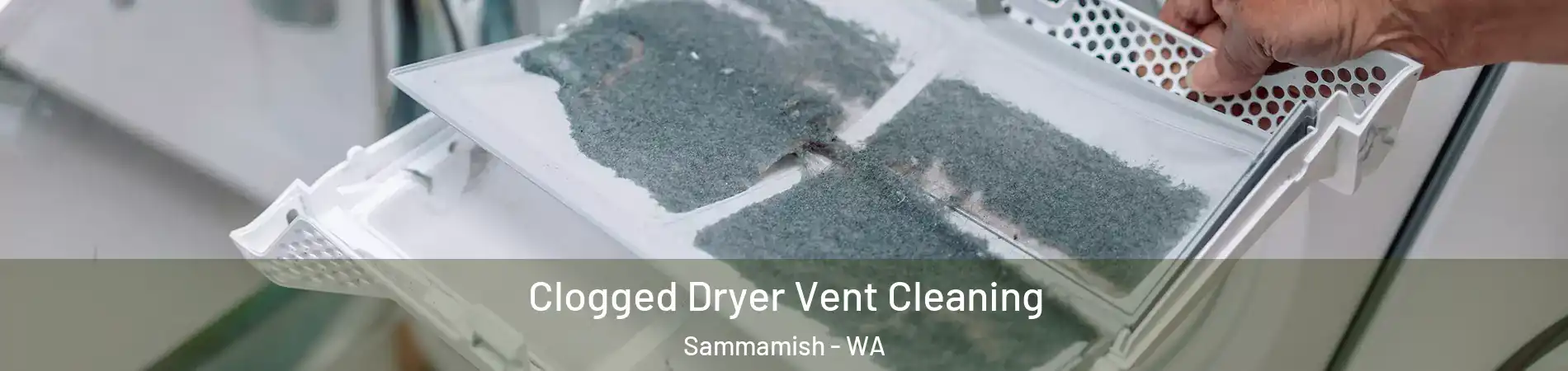  Clogged Dryer Vent Cleaning Sammamish - WA