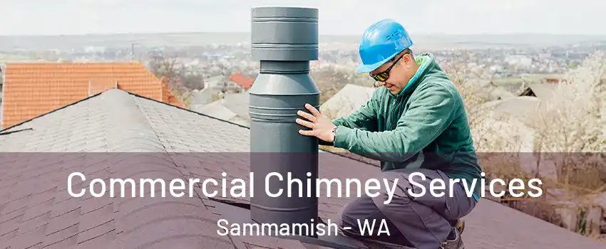  Commercial Chimney Services Sammamish - WA