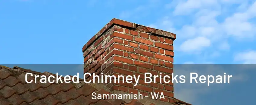  Cracked Chimney Bricks Repair Sammamish - WA
