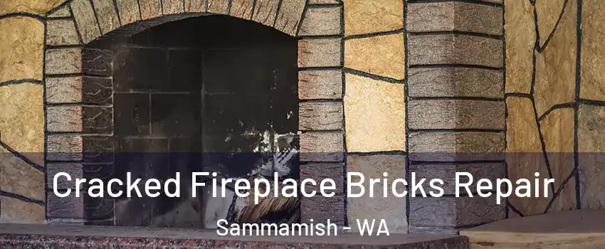  Cracked Fireplace Bricks Repair Sammamish - WA