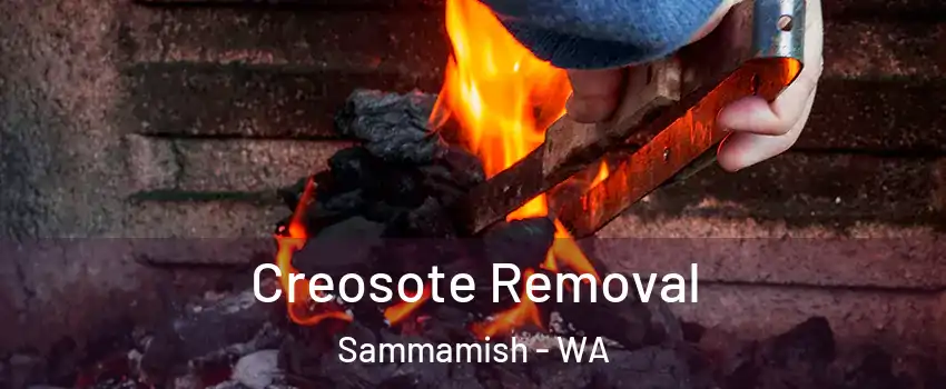  Creosote Removal Sammamish - WA