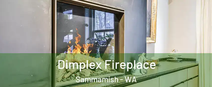  Dimplex Fireplace Sammamish - WA