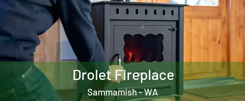  Drolet Fireplace Sammamish - WA