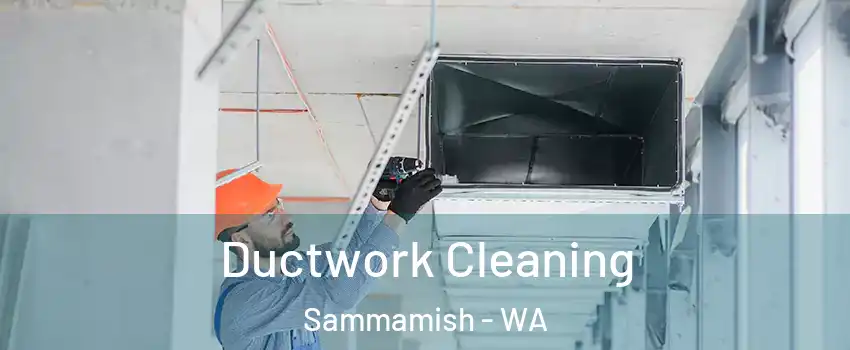  Ductwork Cleaning Sammamish - WA