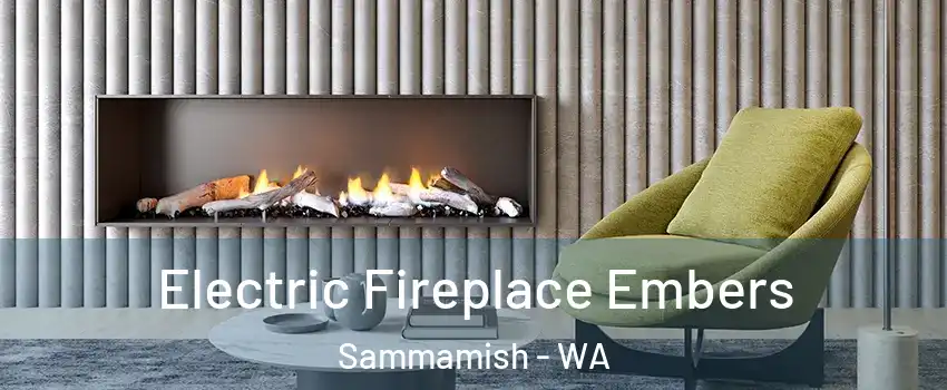  Electric Fireplace Embers Sammamish - WA