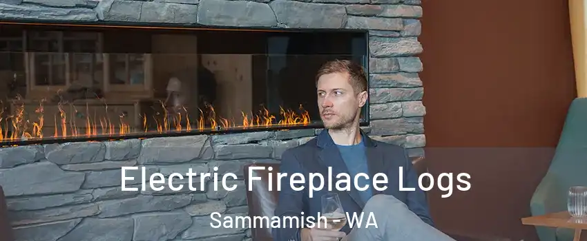  Electric Fireplace Logs Sammamish - WA