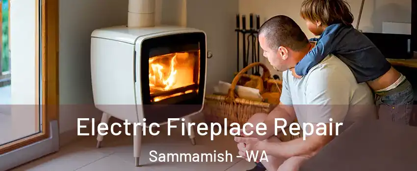  Electric Fireplace Repair Sammamish - WA