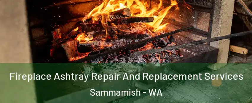  Fireplace Ashtray Repair And Replacement Services Sammamish - WA