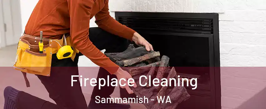  Fireplace Cleaning Sammamish - WA