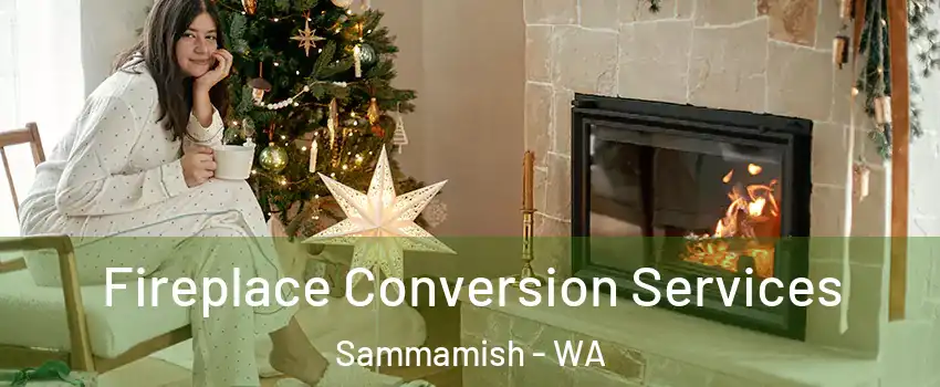  Fireplace Conversion Services Sammamish - WA
