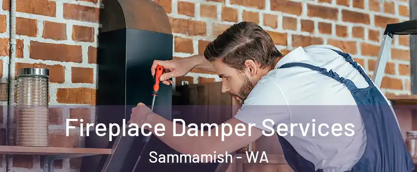 Fireplace Damper Services Sammamish - WA
