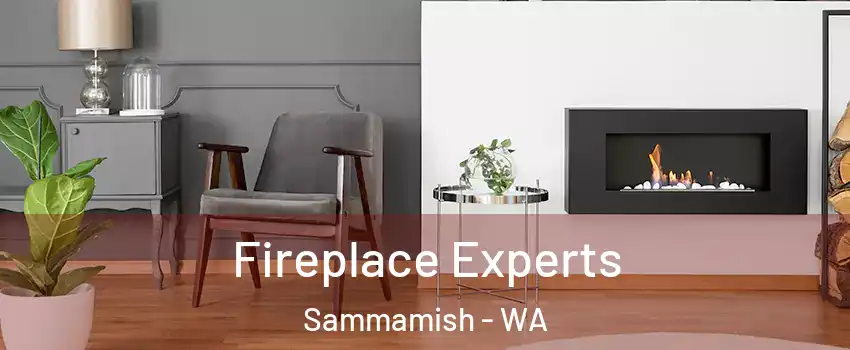  Fireplace Experts Sammamish - WA