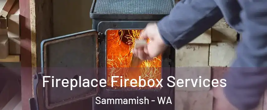  Fireplace Firebox Services Sammamish - WA