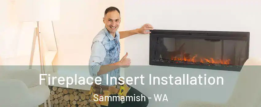  Fireplace Insert Installation Sammamish - WA
