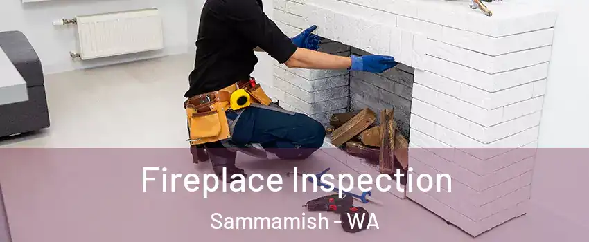  Fireplace Inspection Sammamish - WA