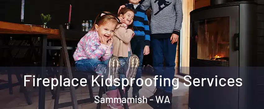  Fireplace Kidsproofing Services Sammamish - WA