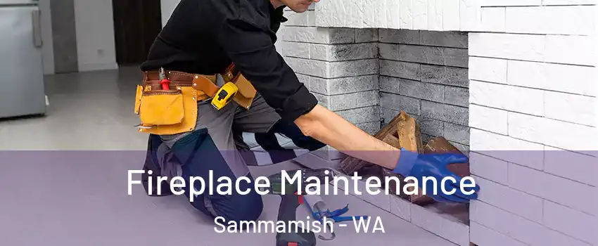  Fireplace Maintenance Sammamish - WA