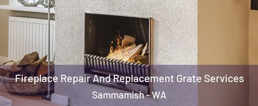  Fireplace Repair And Replacement Grate Services Sammamish - WA
