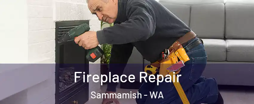  Fireplace Repair Sammamish - WA